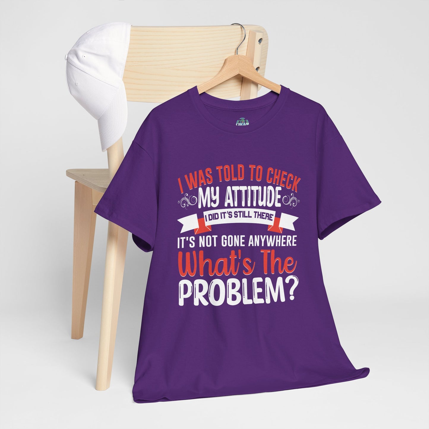 I Was Told To Check My Attitude Problem? It's Still There, What's The Problem? Funny Unisex Tee